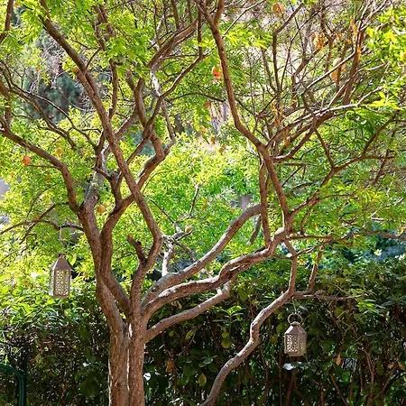 The Melograno * Rzym