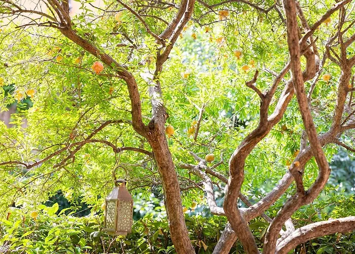 Lejlighed The Melograno Rom