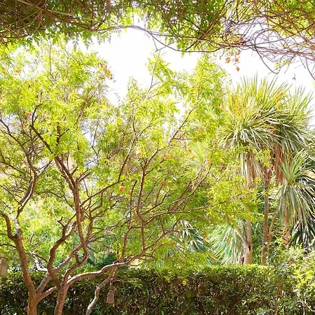 The Melograno 公寓 罗马