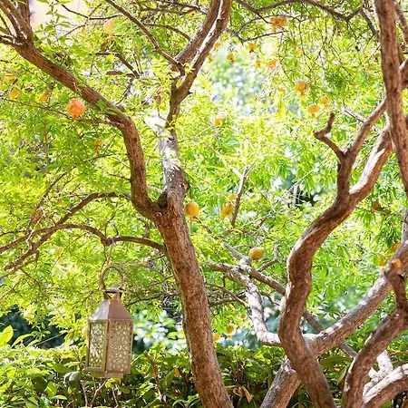 公寓 The Melograno 罗马